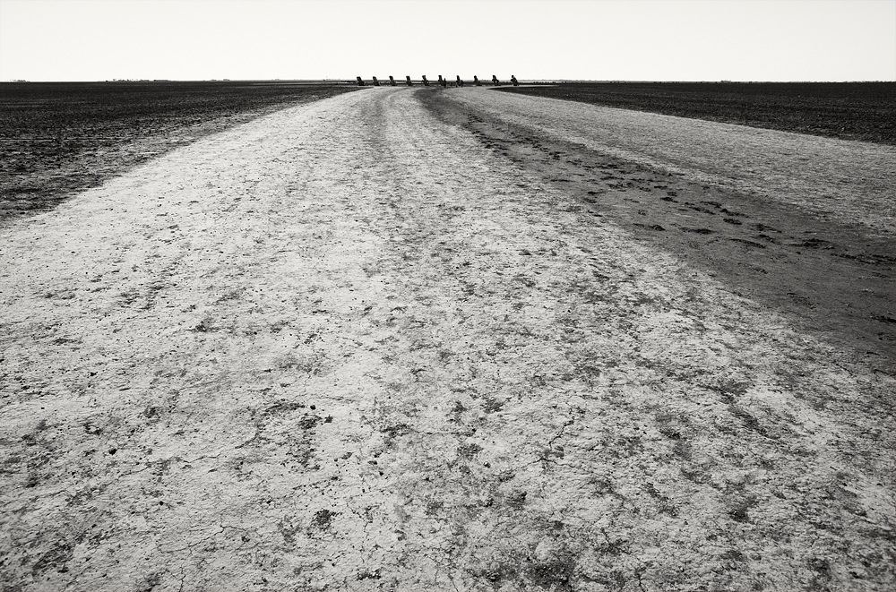 Cadilac Ranch